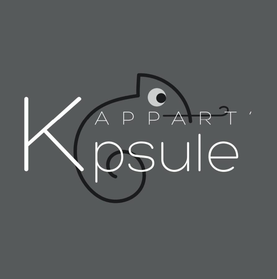 L'Appart K-Psule - Design, Tout Confort, Centre-Ville, 3 Pers Le Mans Eksteriør billede